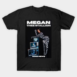 MEGAN THEE STALLION MERCH VTG T-Shirt